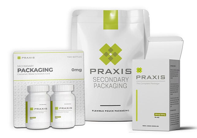 secondary_praxis_800